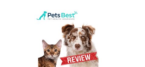 This often only applies to vet treatment for illnesses but some policies also have waiting periods for vet fees for accidents, and other benefits. Pets Best Reviews 2017 Vet-Verified UPDATE: See Cost ...