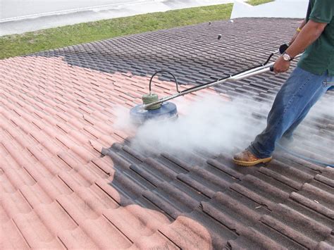 Roof Cleaning By Dan Swede Roofing House Roof Roof Cleaning
