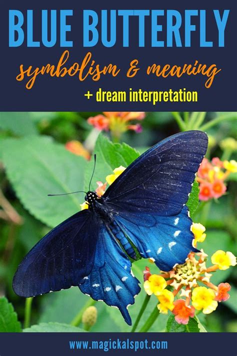 Blue Butterfly Symbolism And Meaning Interpretation Butterfly