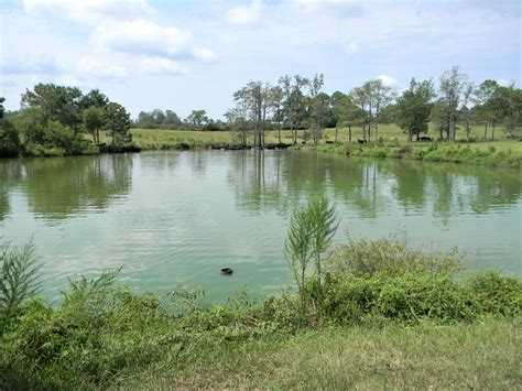 Because of limited government resources, assistance is available only to fish ponds that provide a habitat for the state's most endangered fish. Kersey Fish Pond Road near Andalusia, AL