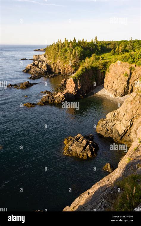 The Cliffs Of The Bold Coast Trail In Cutler Maine Cutler Coast