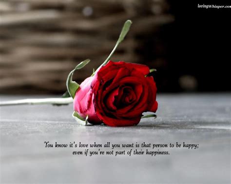 Quotes About Rose Flower 57 Quotes