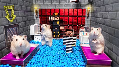 Hamster Escapes From The Awesome Minecraft Prison Maze With Obstacle