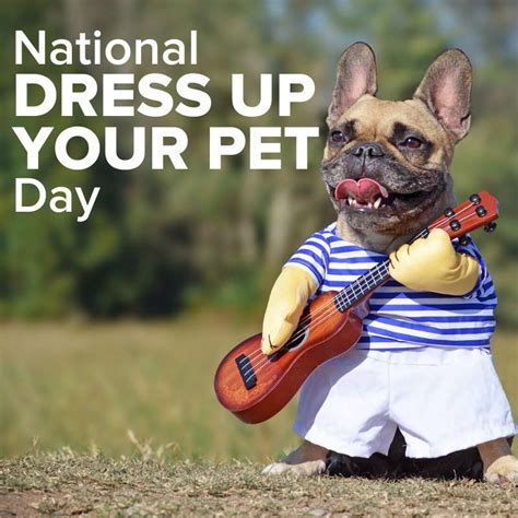 National Dress Up Your Pet Day Wishes Images Whatsapp Images