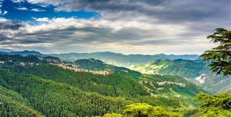 Green Valley Shimla What To Expect Timings Tips Trip Ideas By