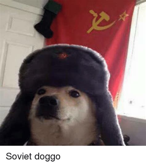 25 Best Memes About Soviet Doggo Soviet Doggo Memes