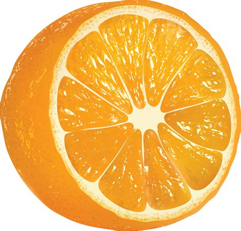 orange-png-image,-free-download