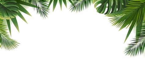 premium vector tropical leaves border isolated white background with gradient mesh vector
