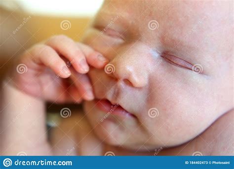 Portrait Of A Sleeping Newborn Baby Close Up Stock Image Image Of