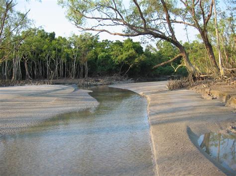Sundarban Facts You Must Know