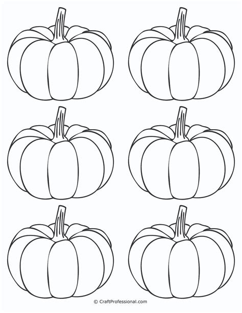 Four Pumpkins With Different Shapes And Sizes