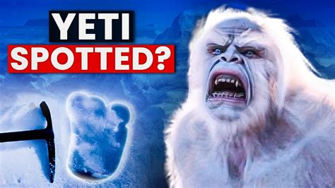 Mystery Of Yeti Does It Exist Youtube