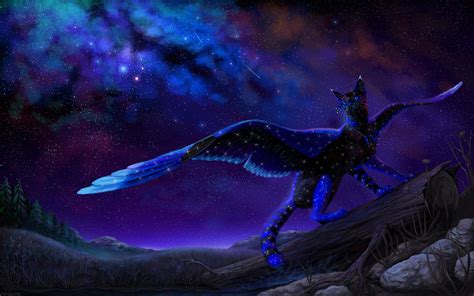 Images Cats Wings Fantasy Night Time Magical Animals 3840x2400