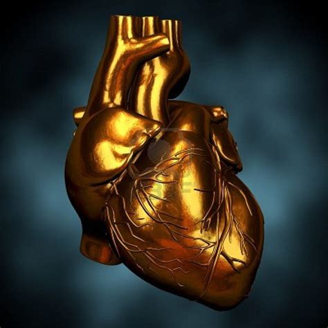 He Had A Heart Of Gold Heart Of Gold Human Heart Heart Art