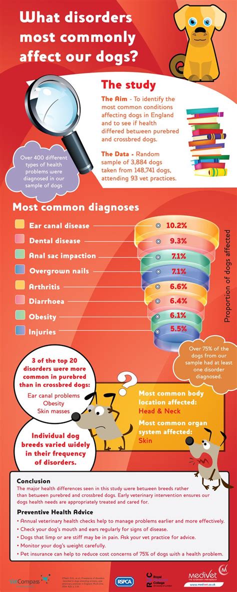 The Most Common Disorders In Dogs Infographic Puppy Health Dog Health