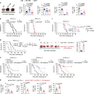 Blockade Of The Checkpoint Receptor Tigit Prevents Nk Cell Exhaustion