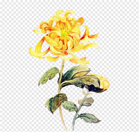 Yellow Flower Watercolor Painting Chrysanthemum Art Hand Painted