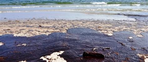 Start receiving relevant responses within a few hours. 35,000-Barrel Oil Spill Prompts Urgent Cleanup In Kuwait ...