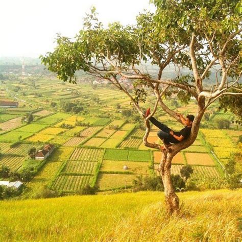 33 Amazing Free Things To Do In Bali You Never Knew Existed