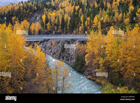 Autumn Colors At Canyon Creek Chugach National Forest Alaska Stock