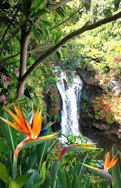 Pin By Hacet Yılmaz On Doğa Paradise Falls Beautiful Waterfalls