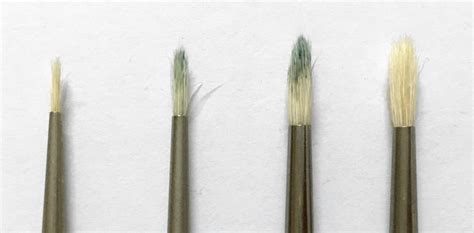 Beginners Guide Types Of Oil Painting Brushes Ran Art Blog