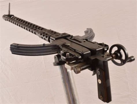 Custom Dual Ruger 10 22 Rifles