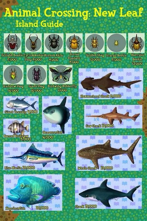 Just head over to the styling. ACNL Island Fish and Insects guide | Animal Crossing ...
