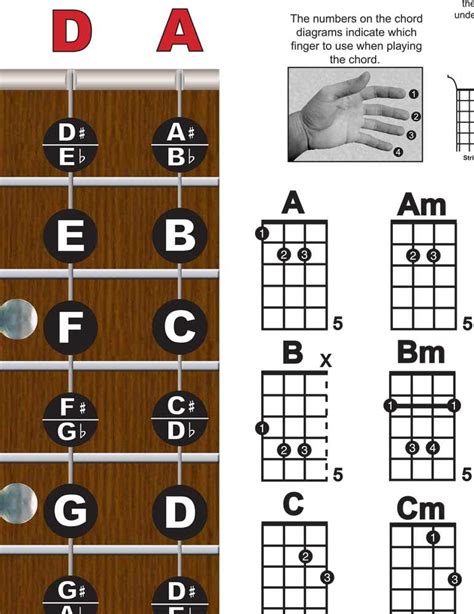 Tenor 4 String Banjo Fingerboard Notes And Chord Poster Wall Chart 11x17