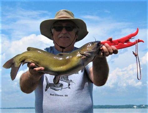 Great Outdoors Sandusky Bays Channel Catfish Population Valued By