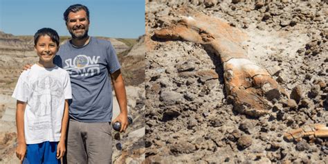 Future Paleontologist Unearths 69 Million Year Old Fossil During Hike