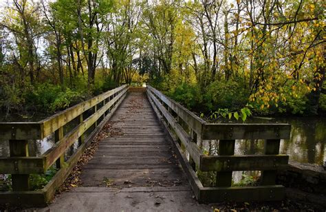 Nancy Havener Mckinley Woods October 2017 4 Forest Preserve District Of Will County Flickr