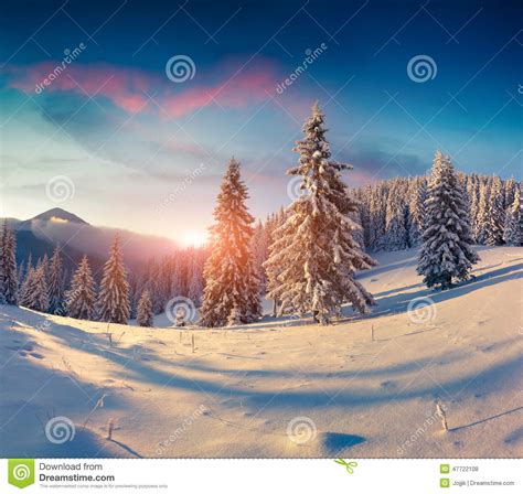Beautiful Winter Sunrise In Snowy Mountains Stock Photo