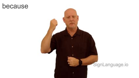 Because In Asl Example American Sign Language