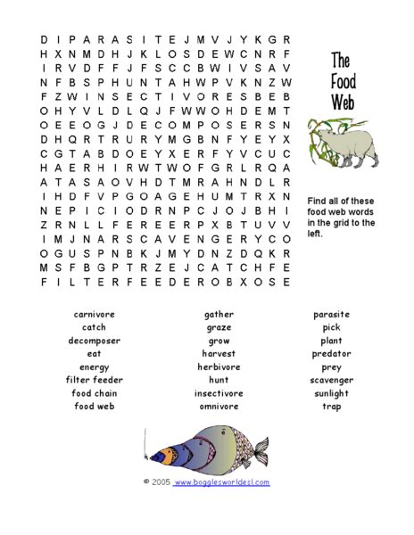 The Food Web Word Search Worksheet For 3rd 5th Grade Lesson Planet