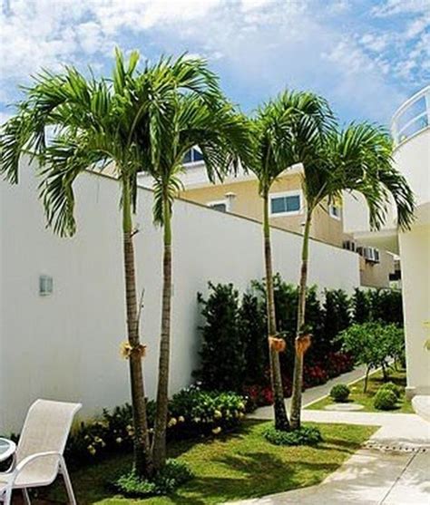 45 Awesome Florida Landscaping With Palm Trees Ideas