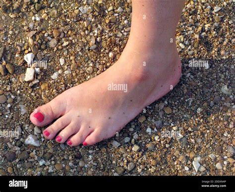 Foot Of A Woman With Red Painted Nails Barefoot In Summer Stock Photo
