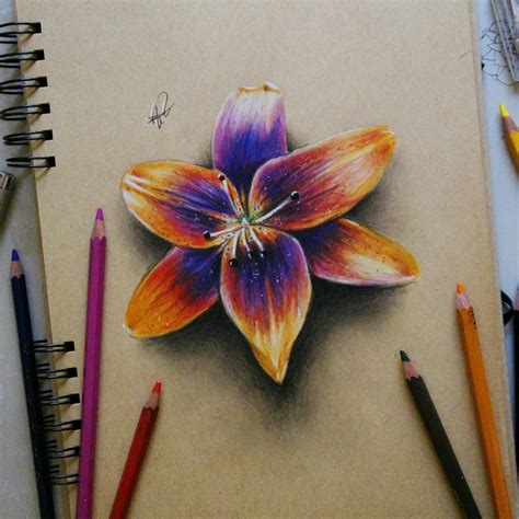 Art Flower Drawing Colour Easy Learn How To Draw Picture Of Flowers