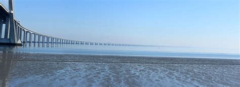 Maybe you would like to learn more about one of these? Under the bridge (Vasco da Gama bridge)