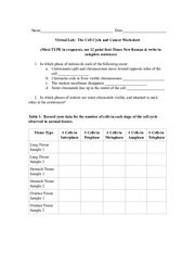 11 best images of microscope worksheet answers key. Virtual Lab The Cell Cycle And Cancer Worksheet Answers Key - worksheet
