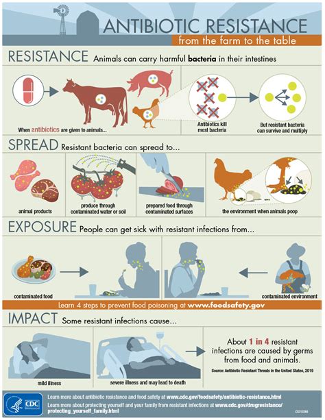 GestiÓn En Salud PÚblica Antibiotic Resistance From The Farm To The