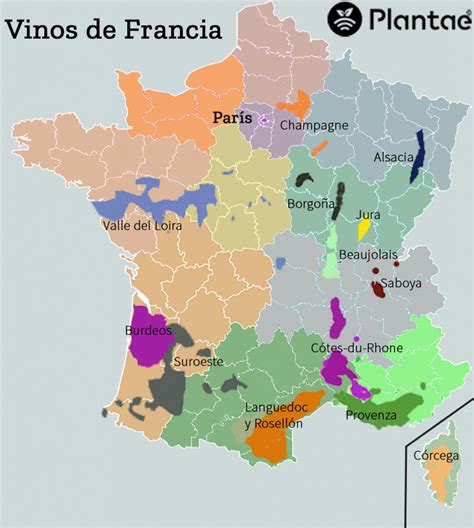 Zonas De Agricultura De Regadío En Francia Plantae