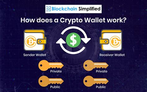 How Many Types Of Crypto Wallets Are There 5 Types Of Cryptocurrency Wallets Benzinga The