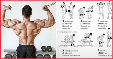 The Best Workout Combination Back And Biceps Health And Gym Guide