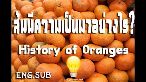 History Of Oranges ประวัติของส้ม Youtube