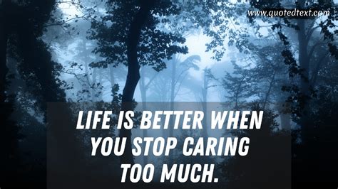 35 I Don T Care Quotes Specially For You Quotedtext