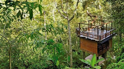 * other (5) * hotels for sale (4) * commercial for sale (2) * apartments for sale (2) * resorts for sale (1). 11 Treehouse Hotels In Malaysia For A True Escape Away ...