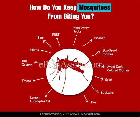 How Do You Keep Mosquitoes From Biting You