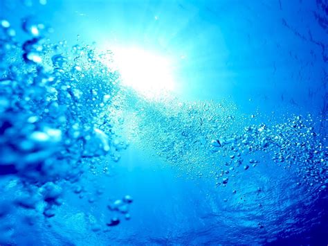 Under The Sea Wallpapers Wallpaper Cave