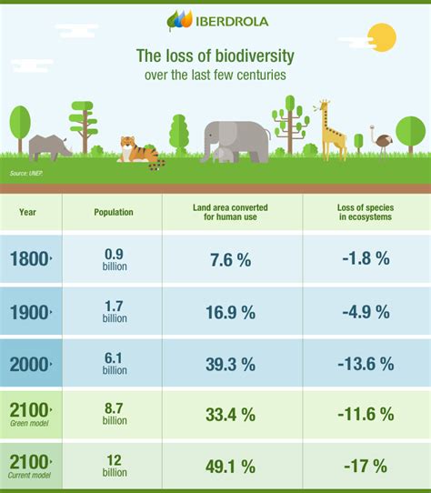 Why Is Biodiversity Lost And How To Solve It Iberdrola